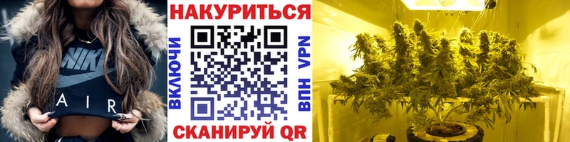 Шишки марихуана VHQ  где продают   Нахабино 